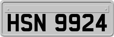 HSN9924
