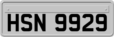 HSN9929