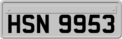 HSN9953