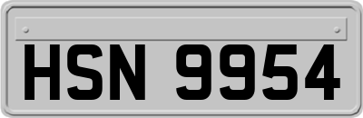 HSN9954