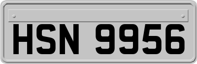 HSN9956