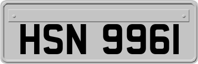 HSN9961