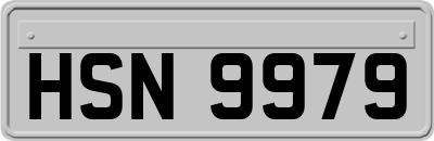 HSN9979