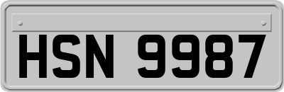 HSN9987