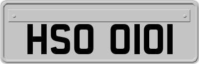 HSO0101