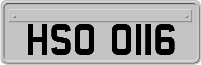 HSO0116