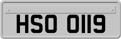 HSO0119