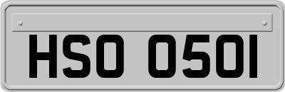 HSO0501