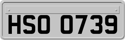 HSO0739
