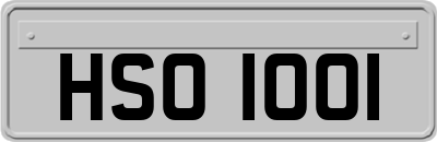 HSO1001