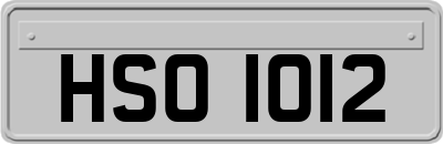HSO1012