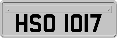 HSO1017