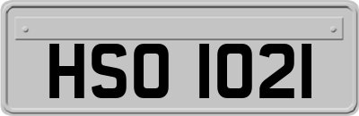 HSO1021