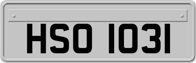 HSO1031