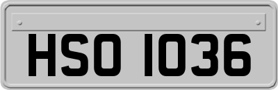 HSO1036