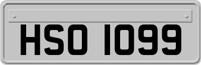 HSO1099