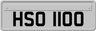 HSO1100