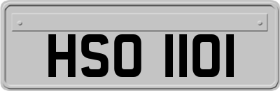 HSO1101