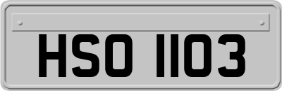 HSO1103