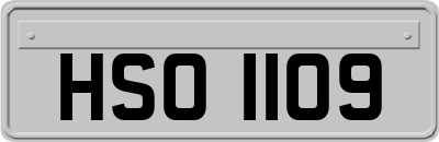 HSO1109