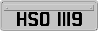 HSO1119