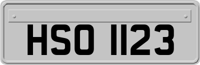 HSO1123