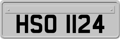 HSO1124