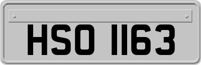 HSO1163