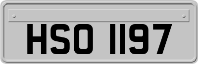 HSO1197