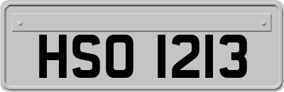 HSO1213