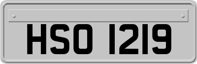 HSO1219
