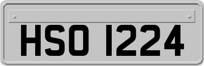 HSO1224