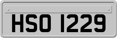 HSO1229