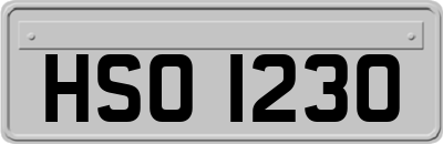HSO1230