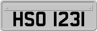 HSO1231