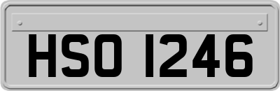 HSO1246
