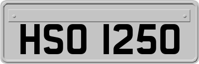 HSO1250