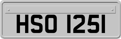 HSO1251