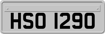 HSO1290