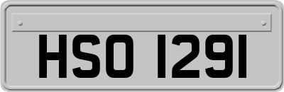 HSO1291