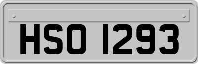 HSO1293