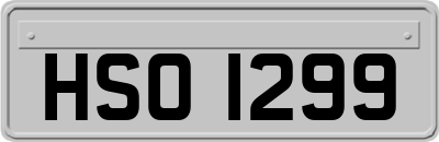 HSO1299