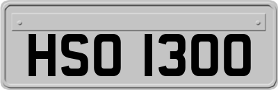 HSO1300