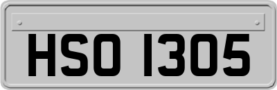 HSO1305