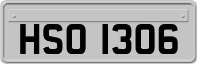 HSO1306