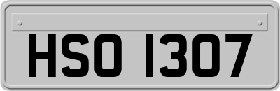 HSO1307