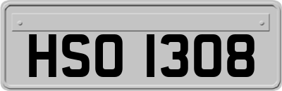 HSO1308