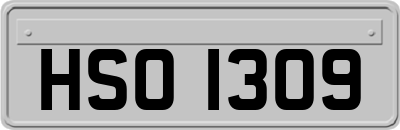 HSO1309
