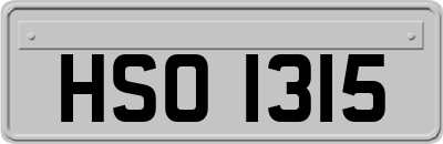 HSO1315