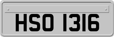 HSO1316